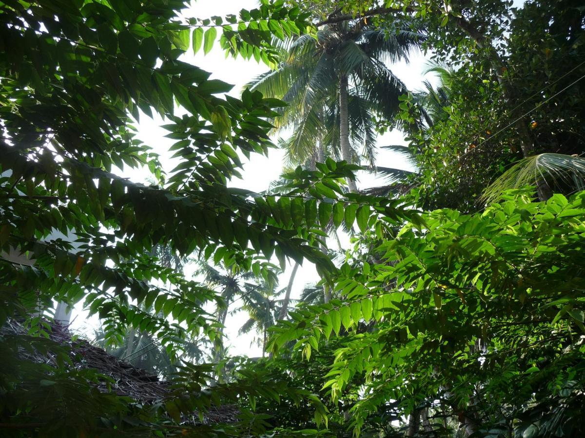 Hotel Peacock Kovalam Exterior foto